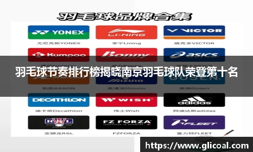 羽毛球节奏排行榜揭晓南京羽毛球队荣登第十名