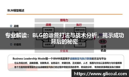 专业解读：BLG的运营打法与战术分析，揭示成功背后的秘密
